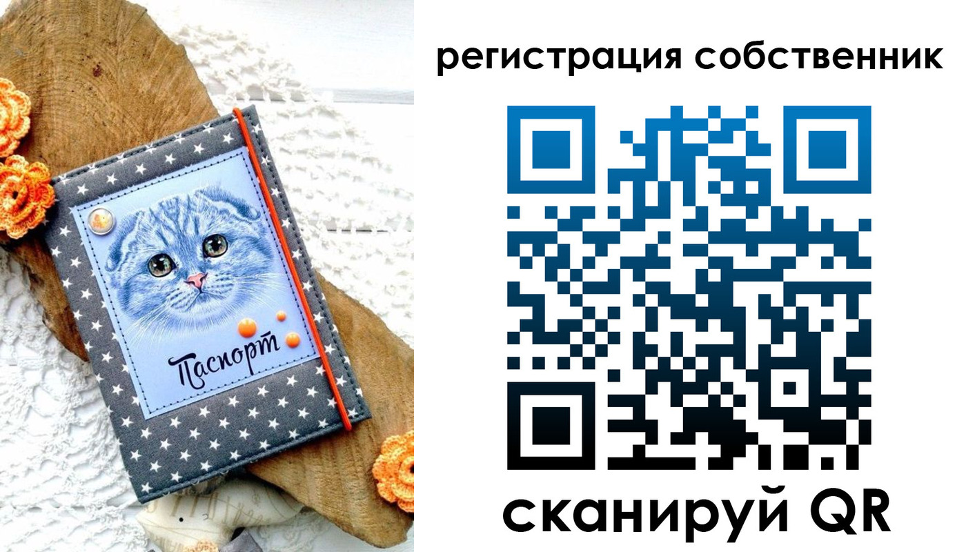 прописка для работы в Ростовской области